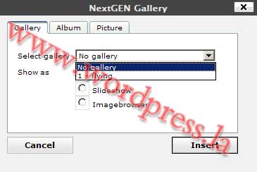 最强的相册插件NextGEN Gallery