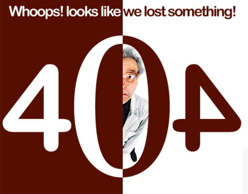 WordPress 404过错页面根本攻略（wordpress用户中心404）  404 开发设计 错误页面 新闻资讯 第10张
