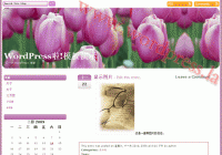 pink-tulip