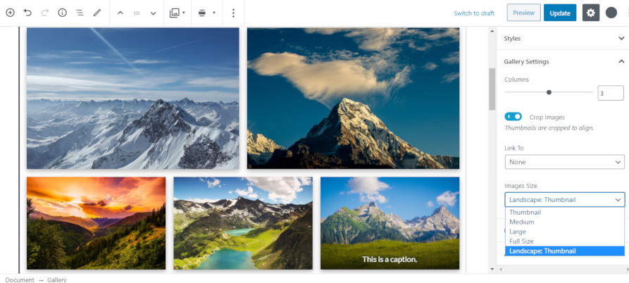 WordPress Gutenberg 7.2 画廊图像尺寸选项