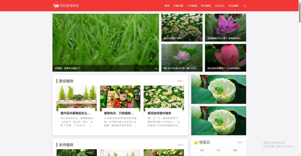 WordPress资讯主题