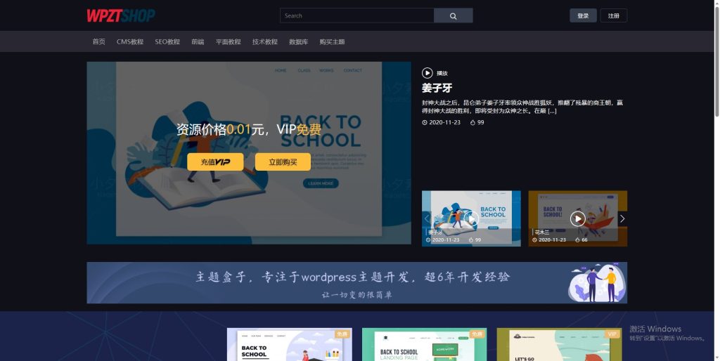 WordPress视频网站主题