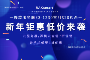 RAKsmart美国服务器活动