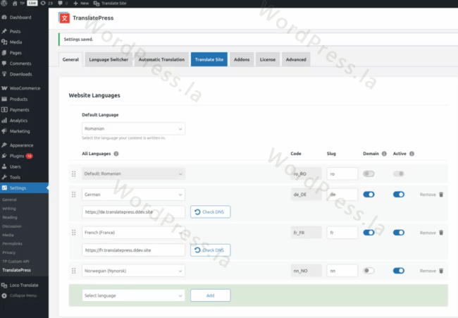 TranslatePress中配置语言域名